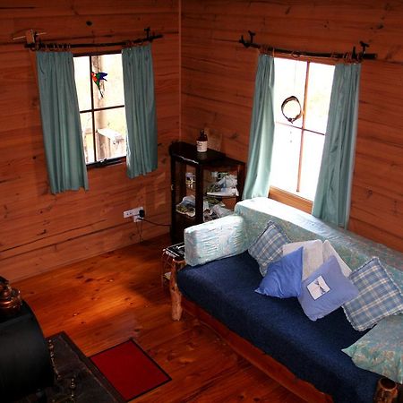 Вілла Wombat Cabin Moina Екстер'єр фото