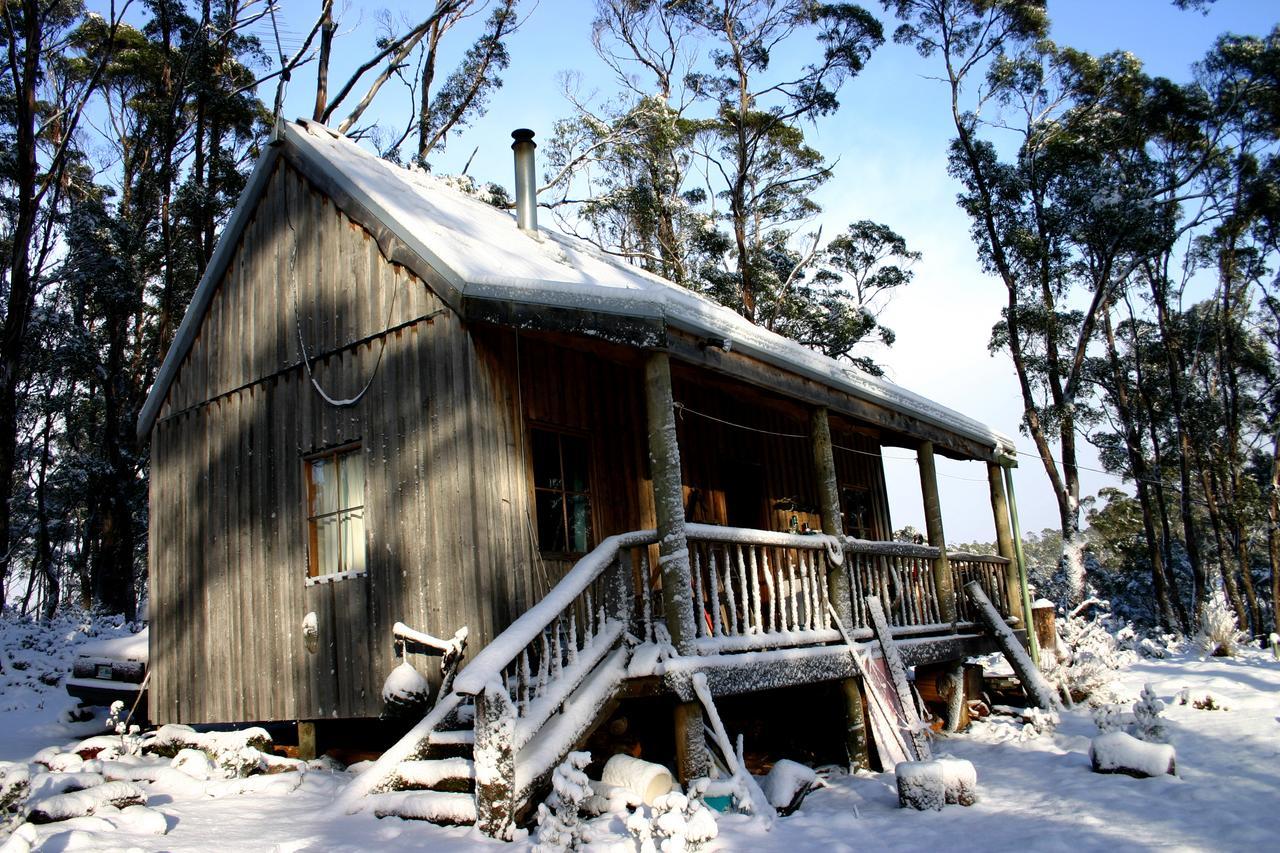 Вілла Wombat Cabin Moina Екстер'єр фото