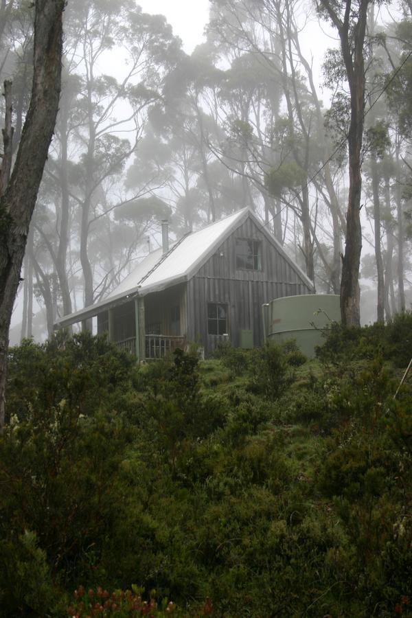 Вілла Wombat Cabin Moina Екстер'єр фото