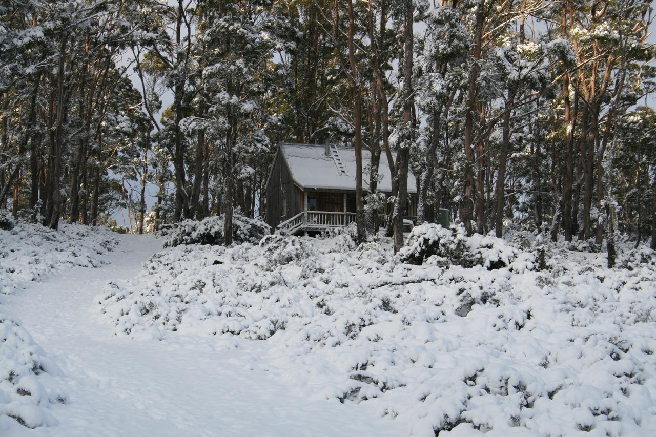 Вілла Wombat Cabin Moina Екстер'єр фото